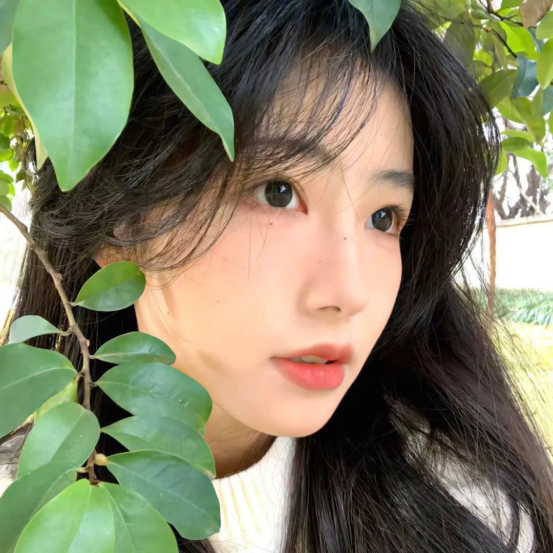 仁显王后的男人 在线观看