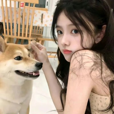 智叻狗仔队 在线观看