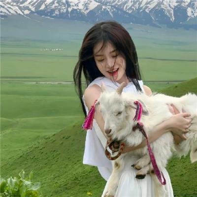 温德斯：狂野旅程 在线观看